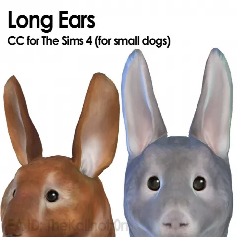 Rabbit Long Ears, Body and Tail