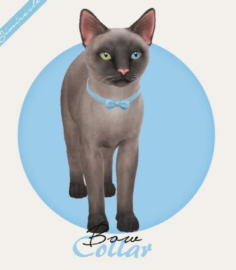 Bow Collar Cats