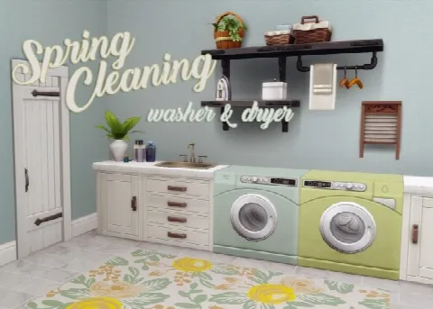 Spring Cleaning Washer & Dryer