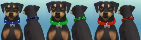 Service Dog Collars for Small Dogs