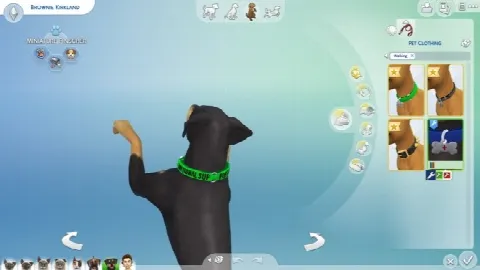 Service Dog Collars for Small Dogs by EmilitaRabbit, Sims 4 pets CC – image 2