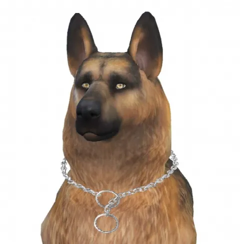 Bruce the German Shepherd dog