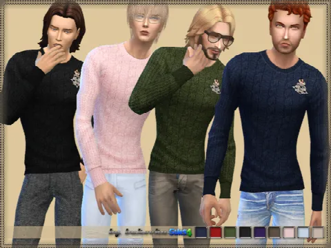 Sweater Male