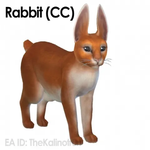Rabbit and CC for your cats