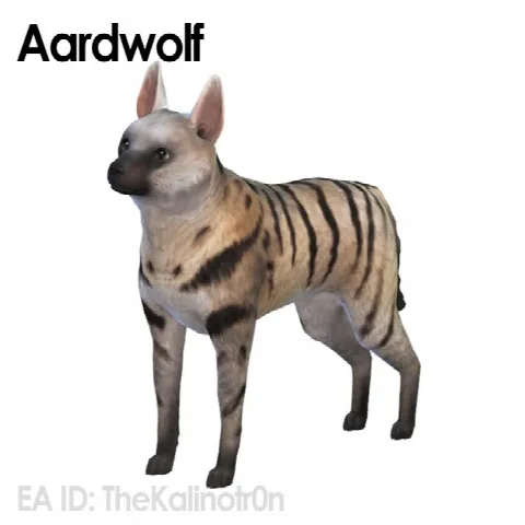 Ferret, Aardwolf, African Wild Dog and Hyena