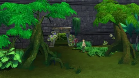 Mossy Jungle Trees