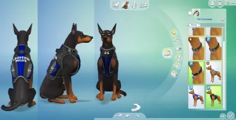 K-9 Officer Vest and Collar