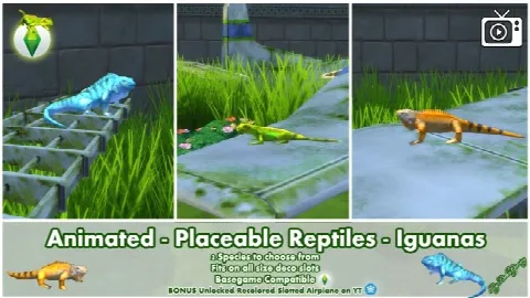 Animated Placeable Reptiles Iguanas