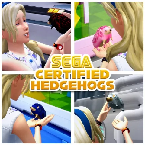 SEGA Certified Hedgehogs