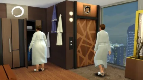 Functional Elevators