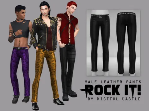 Rock it male leather pants