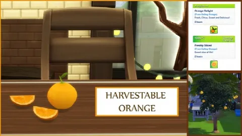 Harvestable Orange