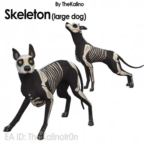 Skeleton (large dog)