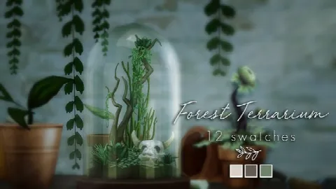 Forest Terrarium