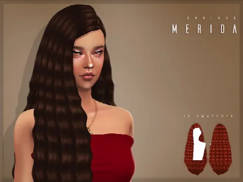 Merida Hairstyle