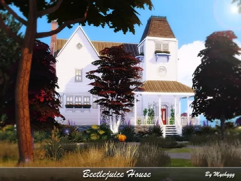 Beetlejuice House