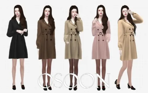 Trench Dress