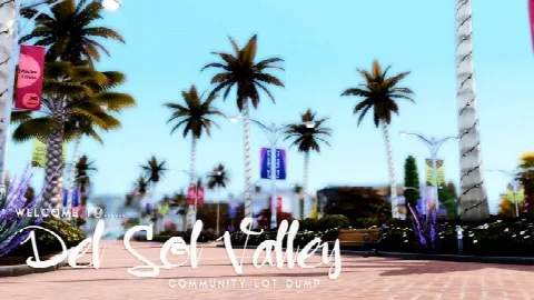 Welcome to Del Sol Valley – Community Lot Dump