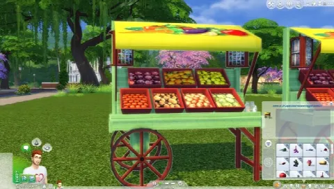 Fruitand Veggie Stands