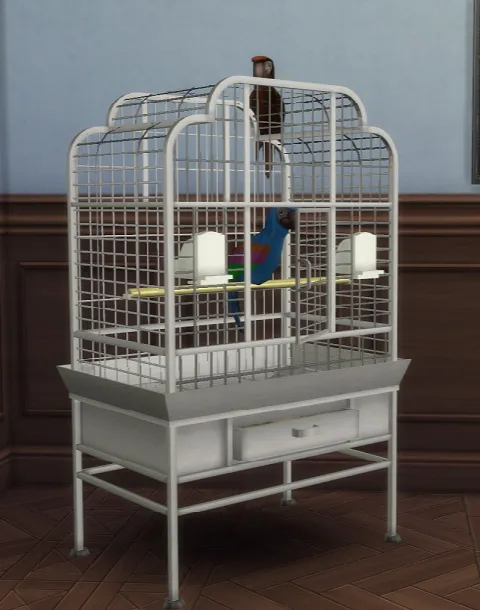 2 to 4 Bird Cage