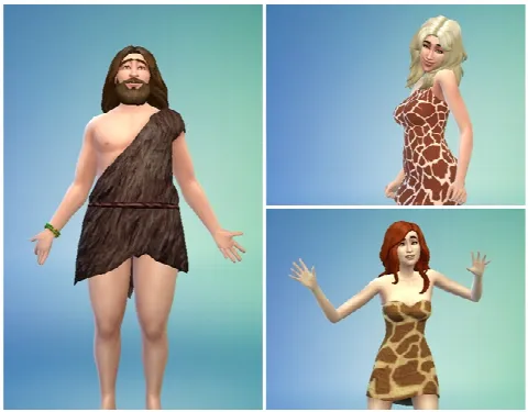 Household Stone Age