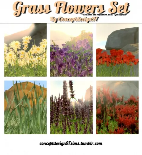 Grass Flowers Set