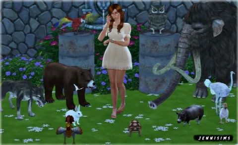 Decoratives animals Vol18