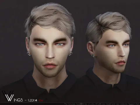 WINGS-TZ0114 male hair