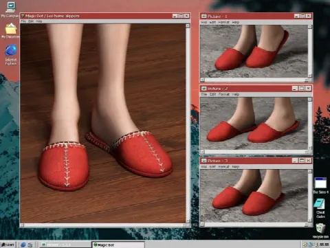 LEO HOME SLIPPERS