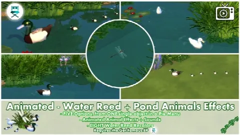 Animated Water Reed + Pond Animals Effects