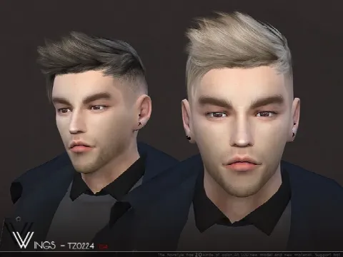 WINGS TZ0224 hair