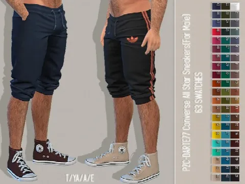 Darte77 Converse All-Stars Recolour Male
