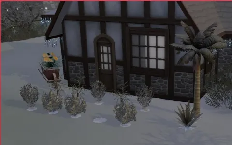 Gardening for All Seasons