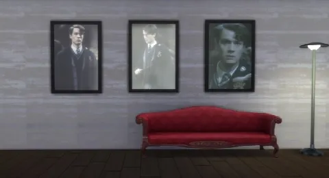 Tom Riddle Portrait Collection