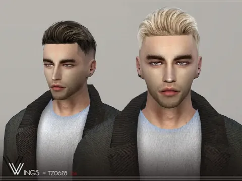 Hair TZ0628