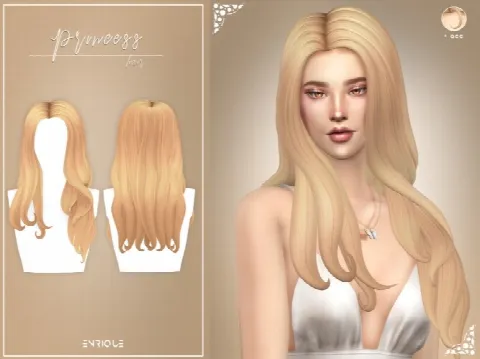 Princess Hairstyle