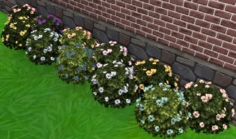 Moonlight Delight Hibiscus Bush by Wykkyd, Sims 4 plants CC – image 2