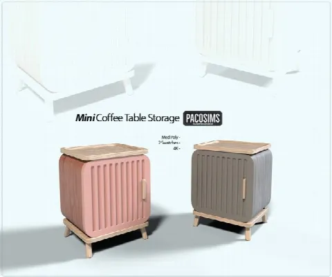 Mini Coffee Table Storage (P)