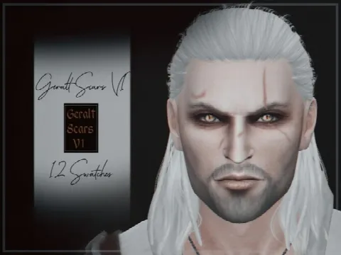 Geralt Scars V1
