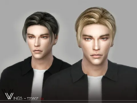 WINGS-TZ0807 hair for males