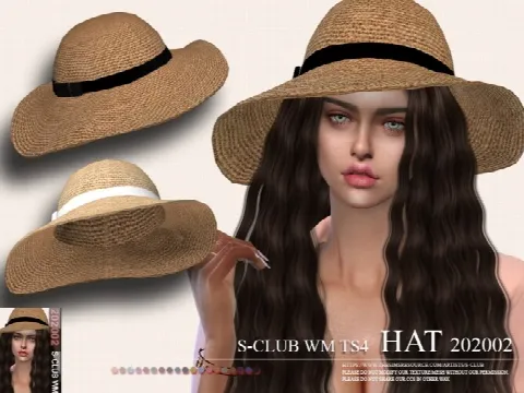Hat 202002