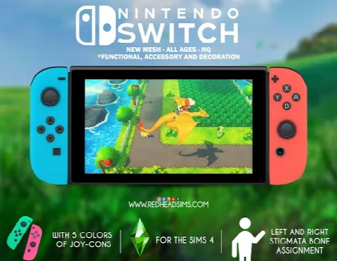 NINTENDO SWITCH – FUNCTIONAL, ACCESSORY AND DECORATION