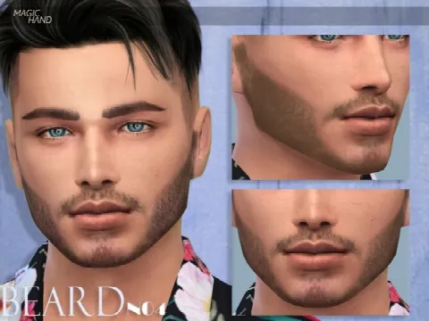 Beard N04