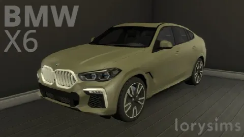 BMW X6