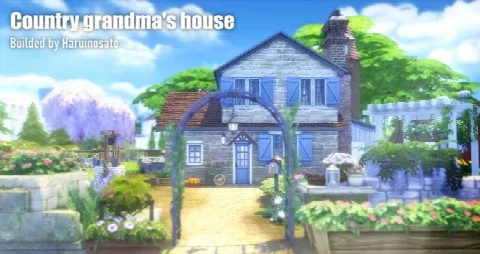 Lot 001 Country grandma’s house