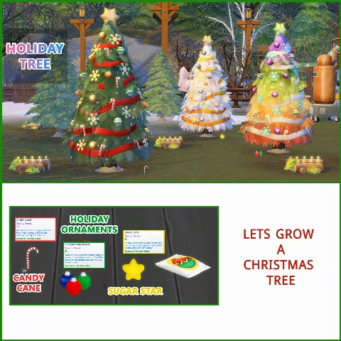Let's Grow a Christmas Tree
