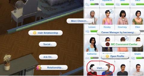 Visit Any Sim