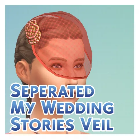 Separated My Wedding Stories veil